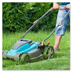Gartenpflege: frisch gemähter Rasen und geschnittene Hecke