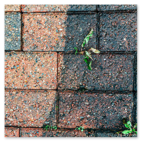 Gartenweg: vorher voller Laub, nachher gereinigt